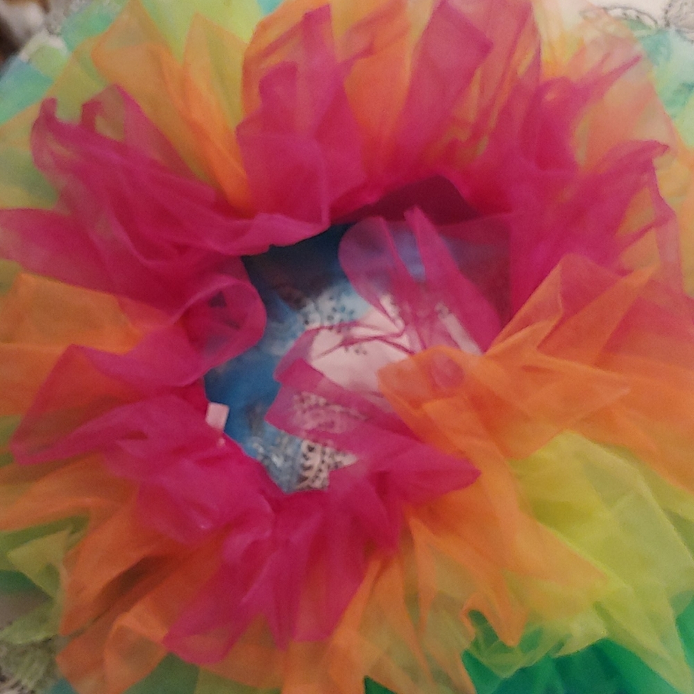 Rainbow Tutu